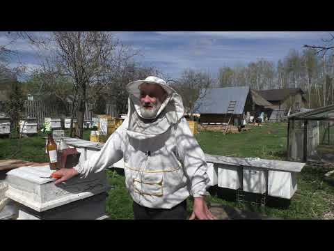 Видео: МАЙ. РОИ ВМЕСТО МЁДА.