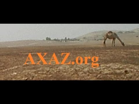 Видео: 407. Прилагательные типа КАТАН. Схематическое построение слов в иврите. Учим язык по системе