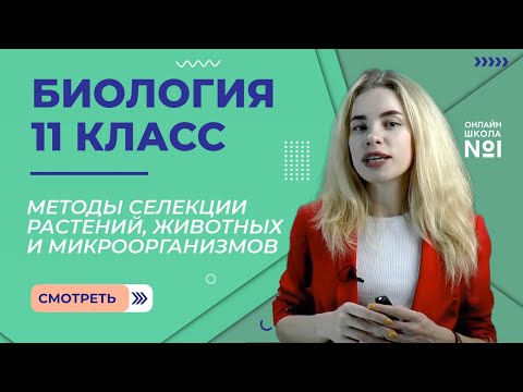 Видео: Методы селекции растений, животных и микроорганизмов. Видеоурок 11. Биология 11 класс