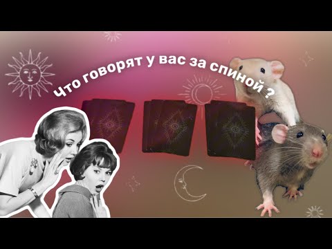Видео: Что говорят у вас за спиной? Тайные разговоры 🤯