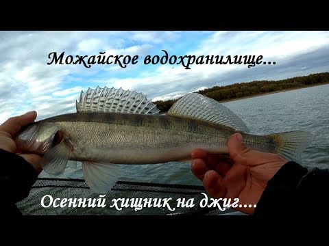 Видео: Спиннинг на можайском водохранилище в сентябре..