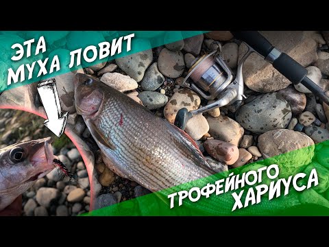 Видео: Эта муха ловит трофейного хариуса