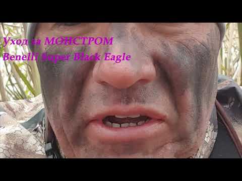 Видео: Уход за МОНСТРОМ Benelli Super Black Eagle