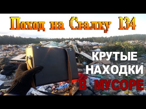 Видео: Поход на Свалку #134 - Гуляем по Свалке и Поиск Находок в Мусоре