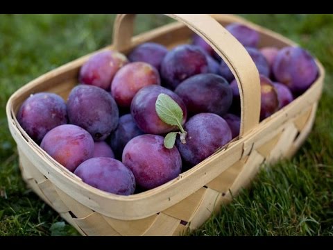 Видео: 15.Заготовки на зиму. Компот из слив. Джем из слив.