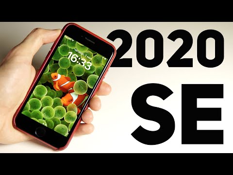 Видео: iPhone SE 2020 - ПОПУЛЯРНЫЙ* в 2024 году