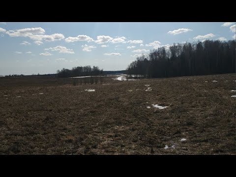 Видео: Поиск кладов и монет. Ищем и находим то, что не нашли другие.