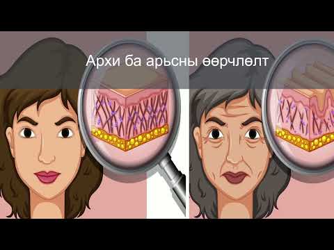 Видео: Архи согтууруулах ундааны хүний бие махбодод үзүүлэх хор хөнөөл