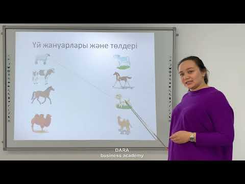 Видео: Жаратылыстану Жануарлар  1 СЫНЫП