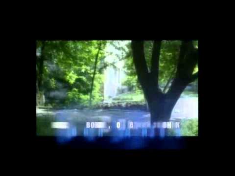 Видео: Последний звонок СОШ №21 города Дербент 11 А 2010.avi