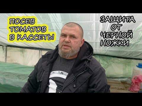 Видео: ПОСЕВ ТОМАТОВ в КАССЕТЫ/Как избавиться от Черной Ножки? "Питиум"