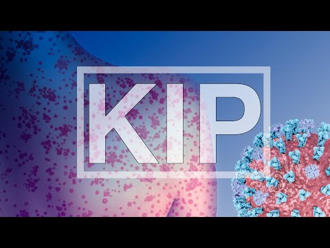 Видео: Кір. Вірус кору (measles morbillivirus)