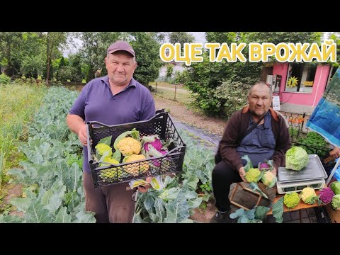 Видео: На Базарі розбирають по супер Ціні. Різнокольорова Цвітна капуста