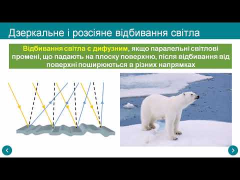 Видео: Відбивання світла. Закони відбивання світла