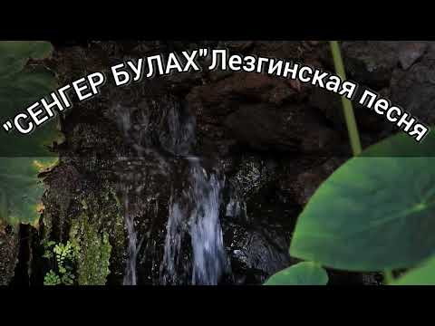Видео: СЕНГЕР БУЛАХ-Лезгинская песня.Лезги манияр.подпишись👍🏻Все искали эту песню💣👍🏻