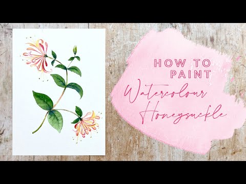 Видео: Как нарисовать жимолость акварелью