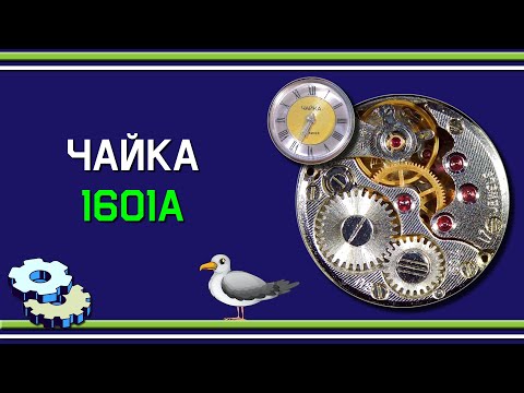 Видео: Чайка 1601А из 80-х