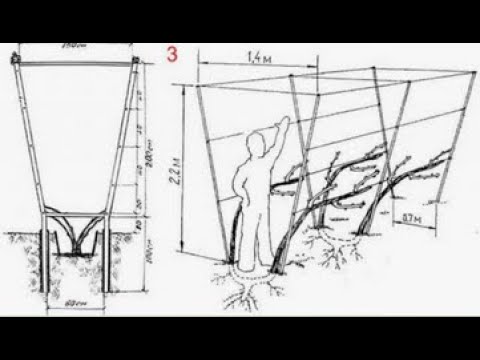 Видео: Шпалера для винограда в 2 плоскости из арматуры