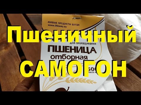 Видео: ЖИВОЙ ПШЕНИЧНЫЙ САМОГОН на диких дрожжах с сахаром. От Сан Саныча.