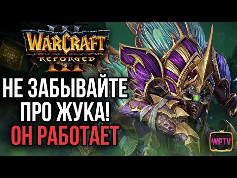 Видео: НЕ ЗАБЫВАЙТЕ ПРО ЖУКА! ОН РАБОТАЕТ: Warcraft 3 Reforged