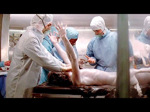 Видео: Пещерный человек вернулся к жизни после 40000 лет заморозки