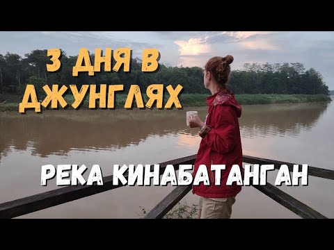 Видео: В джунгли Борнео по следам "Орла и решки". Река Кинабатанган