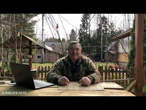 Видео: О социализации и дрессировке щенков