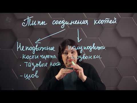 Видео: Типы соединения костей. 8 класс.