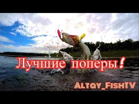 Видео: 3 лучших поппера!