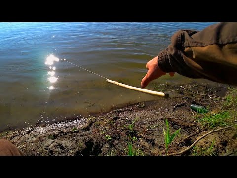 Видео: МОЩНЫЕ ПОКЛЁВКИ! Палки ВЗЛЕТАЮТ ОДНА за ОДНОЙ! ТАКОЙ ЖЁСТКОЙ РЫБАЛКИ У МЕНЯ ЕЩЕ НЕ БЫЛО!