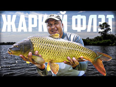 Видео: ЗДОРОВЫЕ КАРПЫ ЕЛЕ ВЛЕЗАЮТ В ПОДСАК! Поехал в Мелководную Заводь, А ТУТ В ЖАРУ СТОИТ ВСЯ РЫБА!