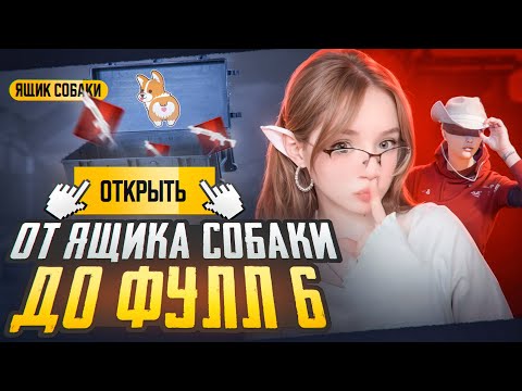 Видео: ОТ СОБАКИ ДО ФУЛЛ 6| Metro PUBG MOBILE