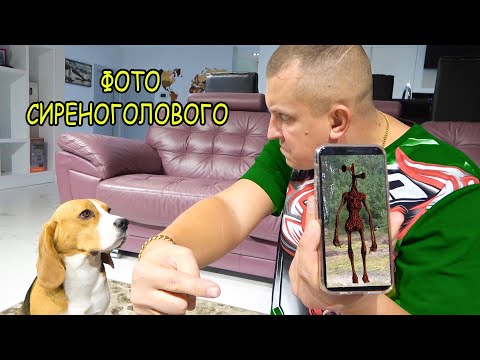 Видео: ШЕРЛОК СФОТОГРАФИРОВАЛ СИРЕНОГОЛОВОГО. ЧТО У ЩЕНКА В ТЕЛЕФОНЕ. БАТЯ В ШОКЕ.