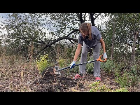 Видео: Снова Сажаю Её 😳 Выходные На Огороде | Готовлю Самый Осенний Десерт 🍮