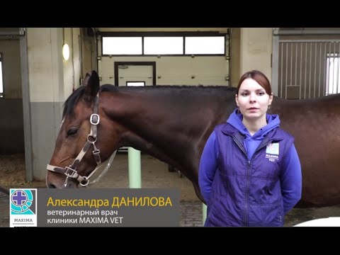 Видео: Как правильно делать внутримышечные инъекции