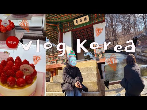 Видео: МЕЧТЫ СБЫВАЮТСЯ! vlog Korea