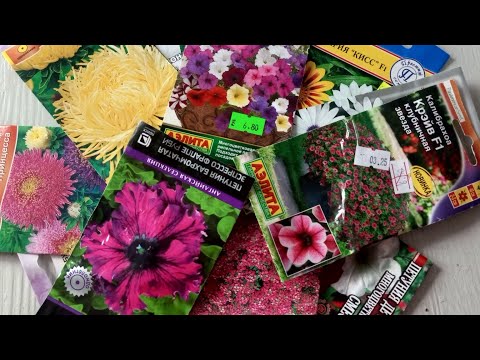 Видео: Мой выбор семян на 2024 год.