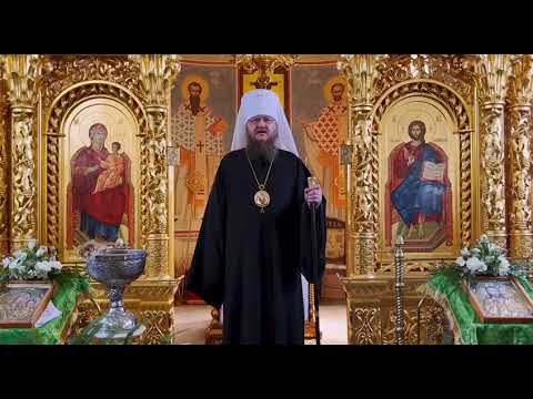 Видео: СЛОВО МИТРОПОЛИТА ФЕОДОСИЯ В ВЕРБНОЕ ВОСКРЕСЕНЬЕ 2025