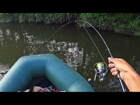 Видео: ВОТ ЭТО МОНСТРЫ ЗДЕСЬ ВОДЯТСЯ! ЗАРОСШАЯ РЕКА ПОЛНА РЫБЫ! Рыбалка на голавля 2024.