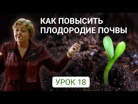 Видео: Как повысить плодородие почвы - лекция доктора биологических наук