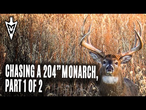 Видео: В погоне за айовским монархом длиной 204 дюйма, часть 1 из 2 | Среднезападный белохвостый олень