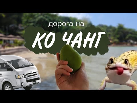 Видео: ИЗ БАНГКОКА НА КО ЧАНГ | ПАРОМ, ПЛЯЖ, КРАБЫ | СТОИТ ЛИ ЕХАТЬ НА КО ЧАНГ?