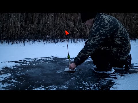 Видео: Нічний Кльов щуки на Жерлиці змінився рясним Снігопадом.Перший лід на Сільському Ставку