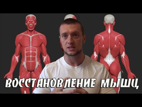 Видео: Восстановление мышц, рост мышц