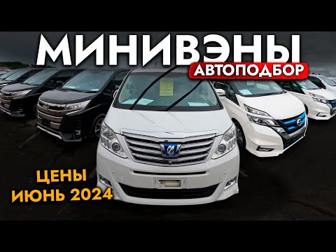 Видео: АВТОПОДБОР NOAH I VOXY I ESQUIRE❗️ МИНИВЭНЫ❗️ Обзор рынка и цен l ИЮНЬ 2024