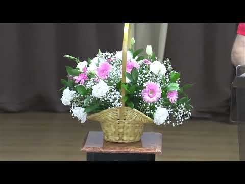 Видео: "Новая Жизнь" Акко Израиль