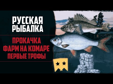 Видео: Новый Путь в РР4 #2 🔴 Первые Трофеи | Качаю Навыки | Как Фармить Новичку