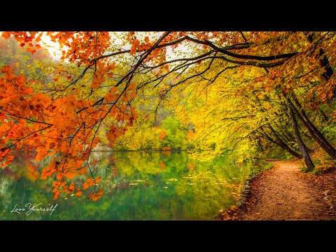 Видео: послушайте эту музыку и вам станет легче🌿Нежная музыка,успокаивает нервную систему и радует душу #93