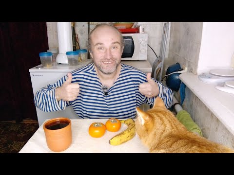 Видео: Завтрак с Рыжулей. Спасибо за донат. Физра в школе. Мукбанг. Обжор. Еда на камеру. Диета. Шизофрения