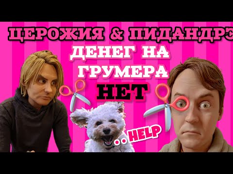 Видео: Люся захворала от жадности Серожи. Анкорские экономят на собаке. Гореть вам в аду!